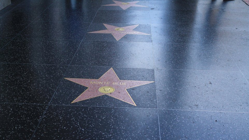 Hollywoodský chodník slávy